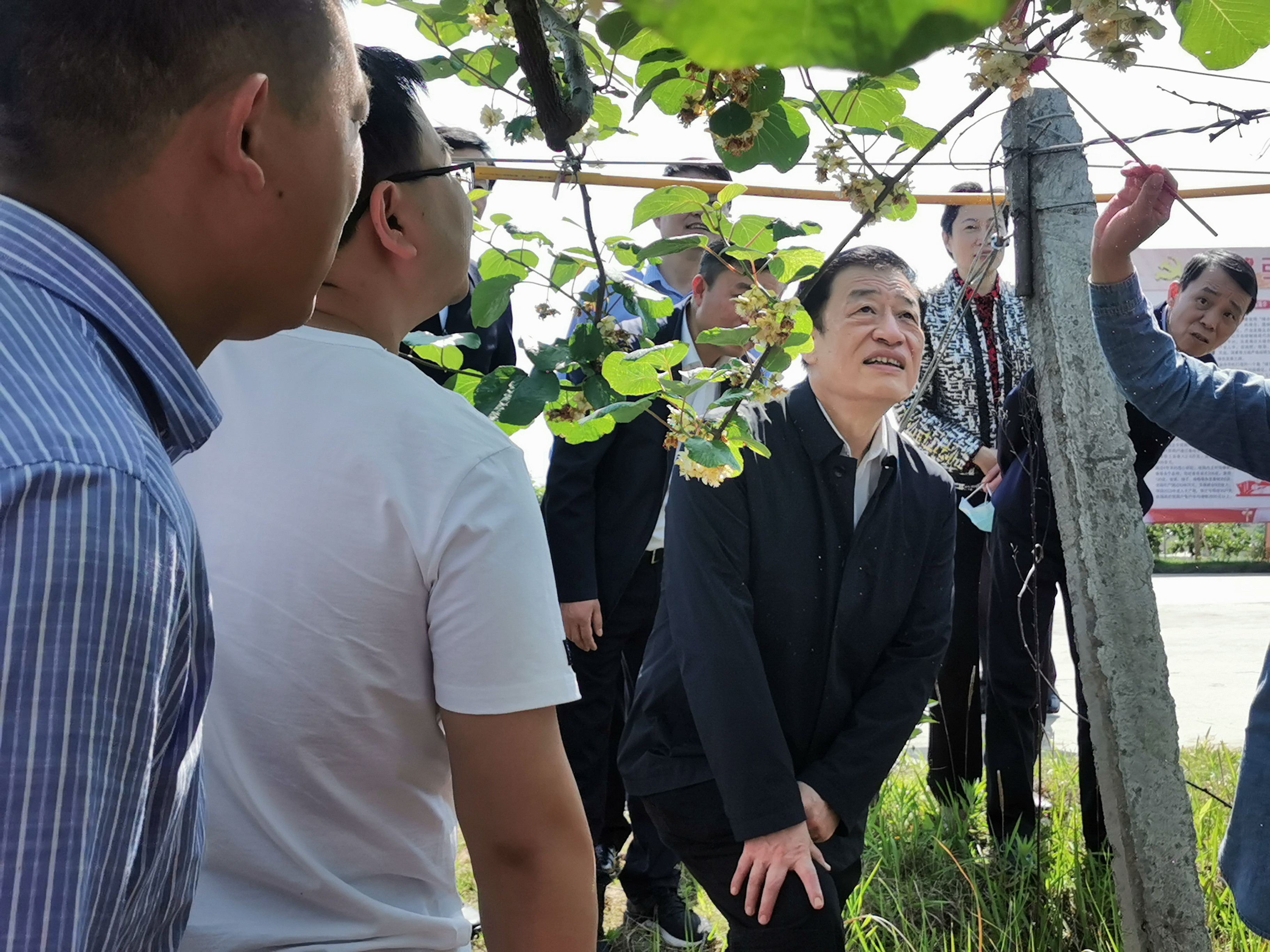 刘奇考察省科学院猕猴桃科技特派团产业扶贫示范基地