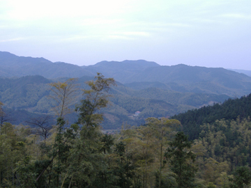 2号-群山环抱一点红.jpg