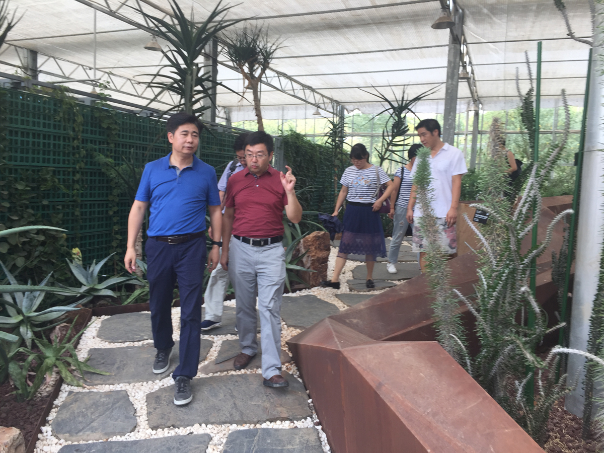 参观了武汉植物园关谷.jpg