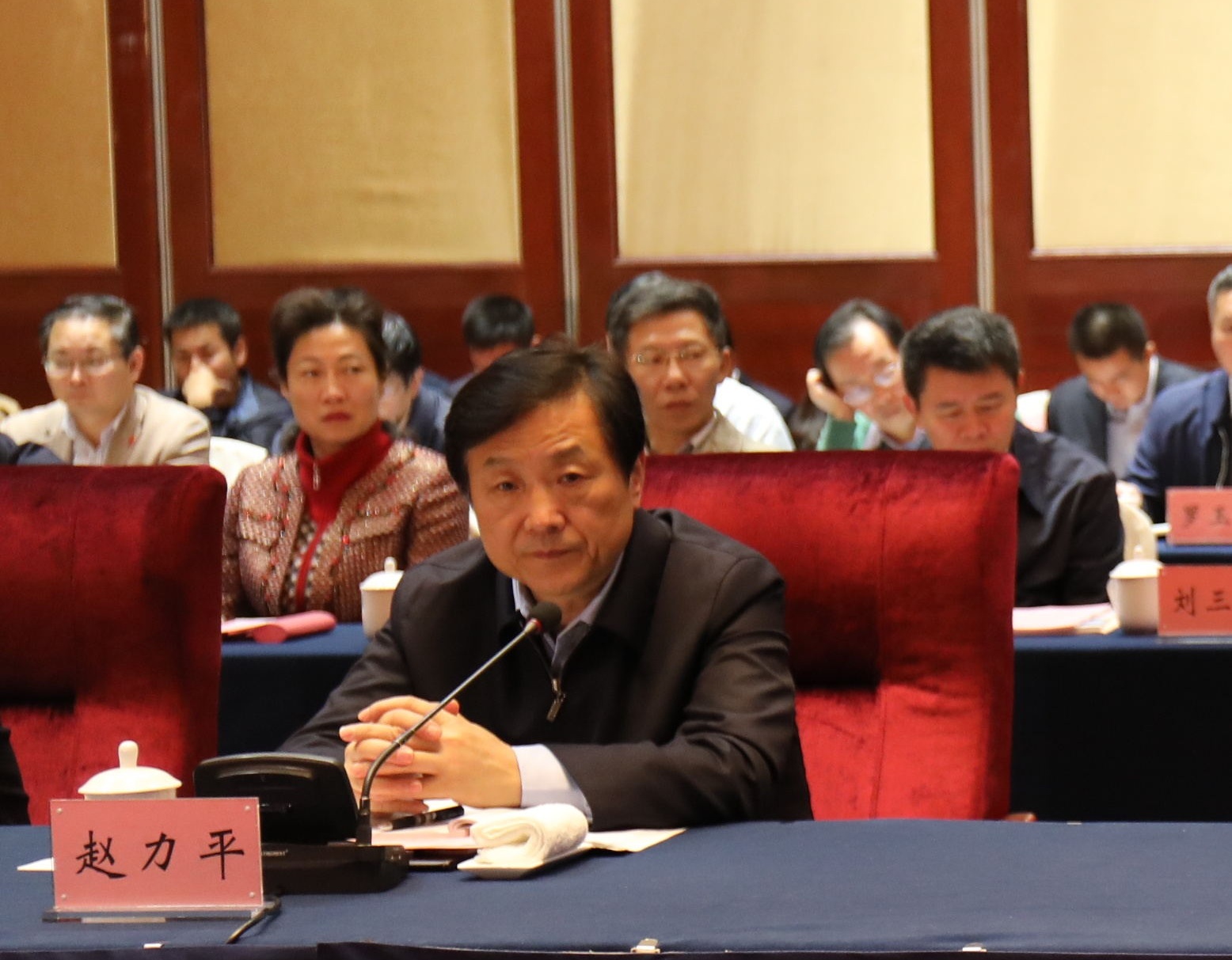 赵力平_看图王.jpg