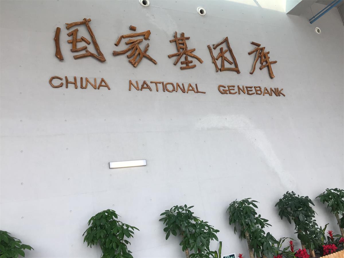 基因库1.jpg