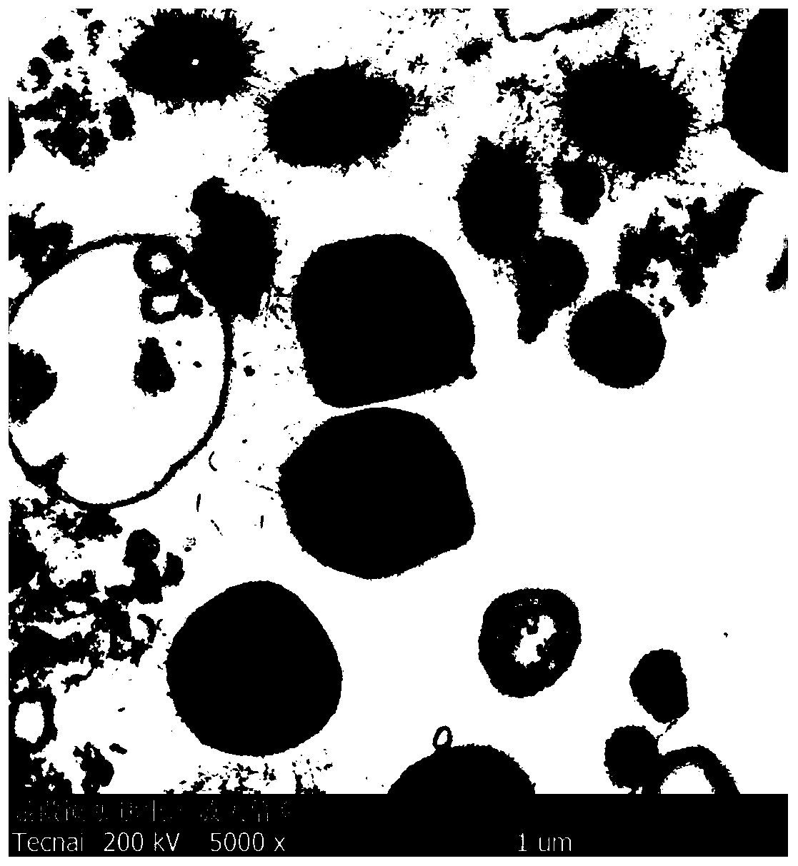 getOneBooksImg (3).gif