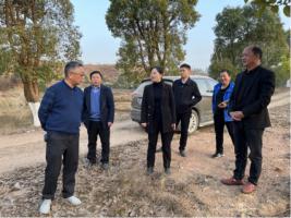 我所赴安义县新民乡调研种养结合基地选址