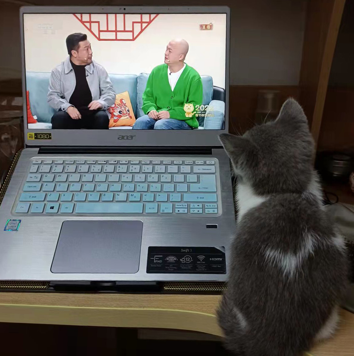 猫咪陪我过新年.jpg