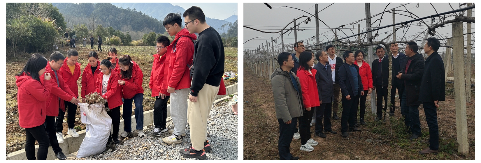 光影魔术手拼图2.jpg