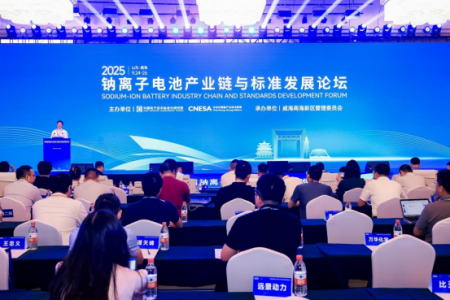 科技战略研究所参加第四届钠离子产业链与标准发展论坛   