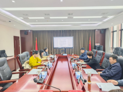 科技战略研究所参加宜阳新区“十五五”数字经济发展规划编制工作汇报会